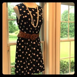 Navy Polka Dot Work Dress